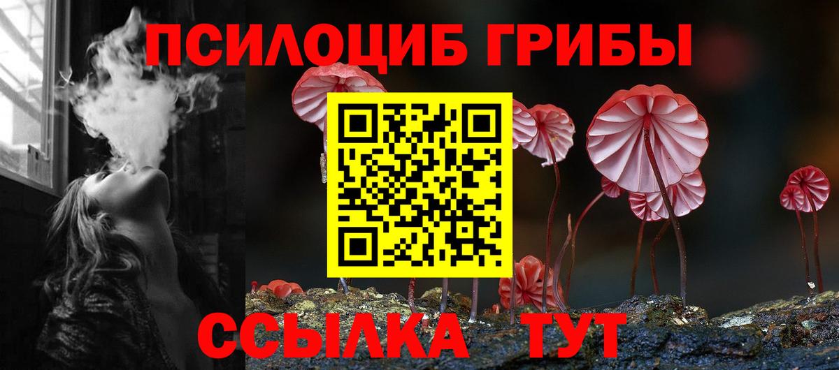 Галлюциногенные грибы GOLDEN TEACHER  Галлюциногенные грибы Psilocybine cubensis  Малоярославец  Вход с VPN 